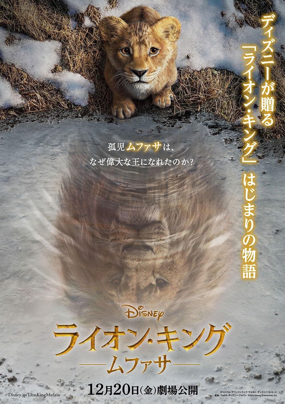 موفاسا: فرمانروای شیرها