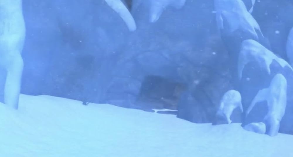 آلفا و امگا ۷: یخبندان بزرگ