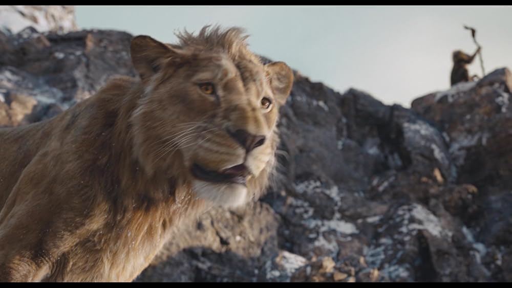 موفاسا: فرمانروای شیرها