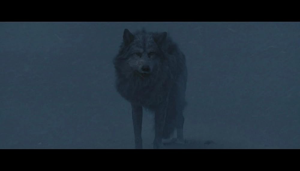 کراون شکارچی