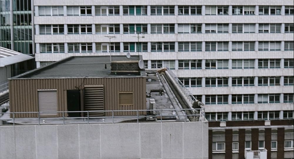 ۲۸ هفته بعد