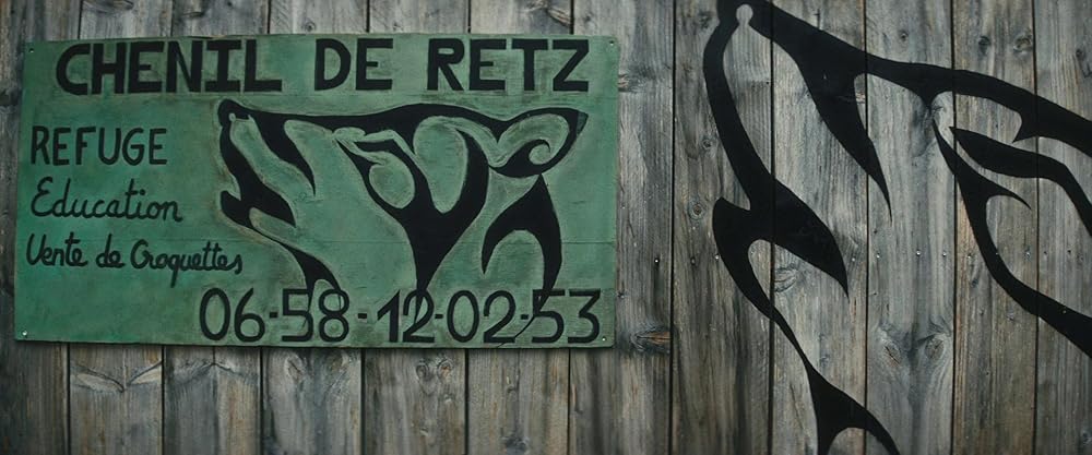 وینسنت باید بمیرد