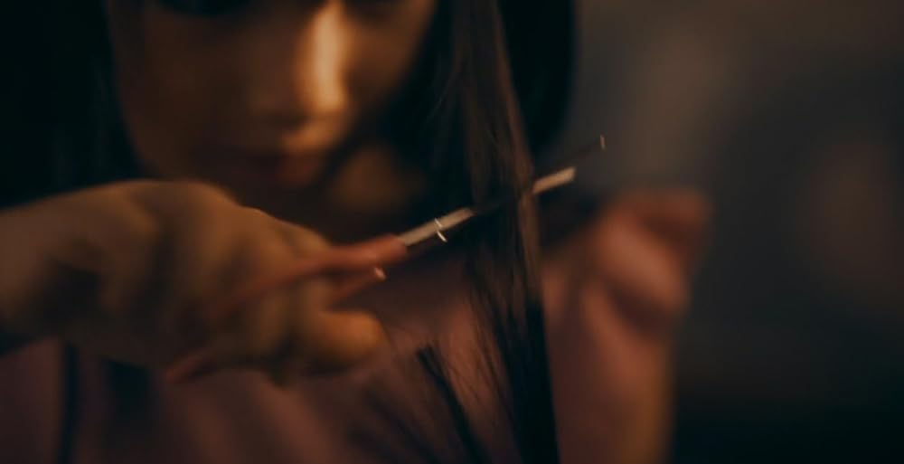 خاندان سایوری