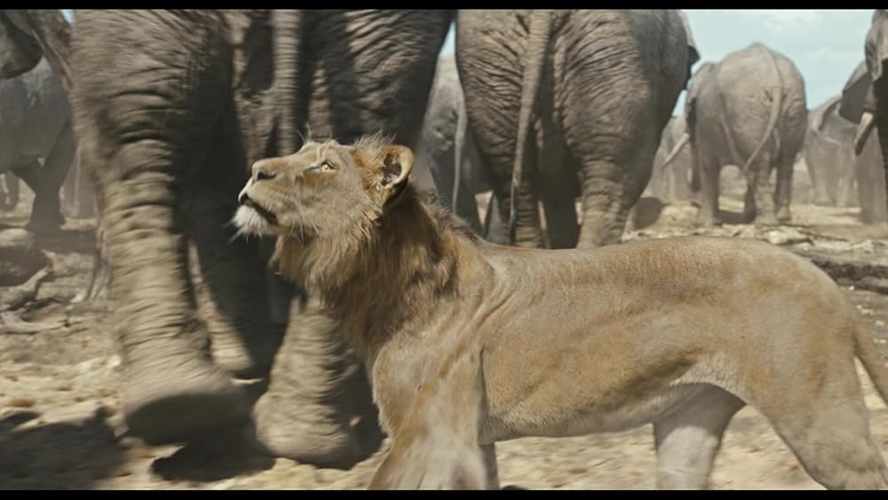 موفاسا: فرمانروای شیرها