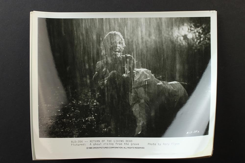 بازگشت مردگان زنده