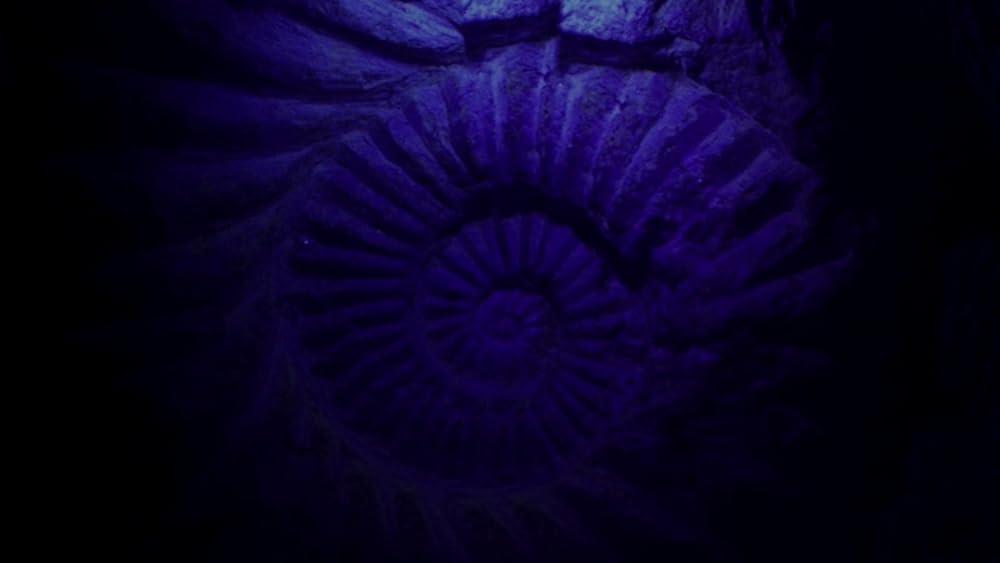 خدای دیوانه