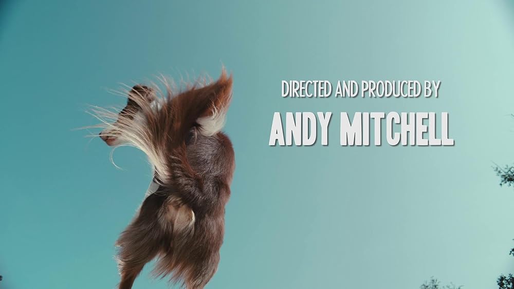 درون ذهن یک سگ