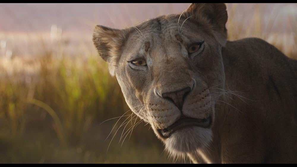 موفاسا: فرمانروای شیرها