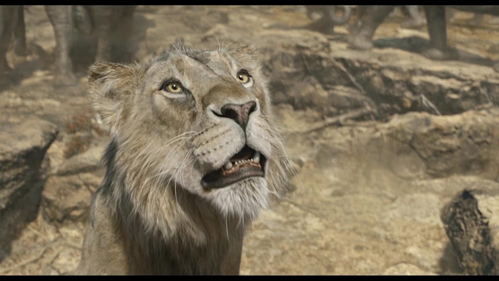 موفاسا: فرمانروای شیرها