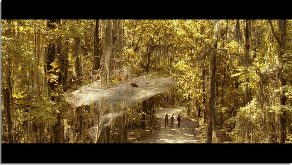 ای برادر، کجایی؟