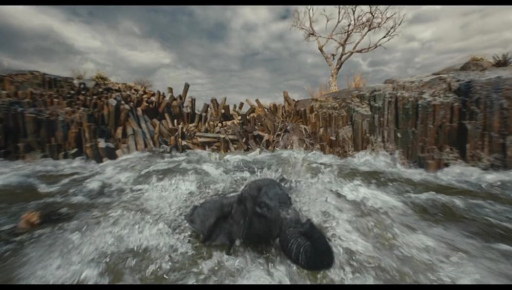 موفاسا: فرمانروای شیرها