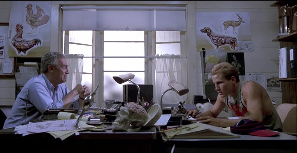 بازگشت مردگان زنده