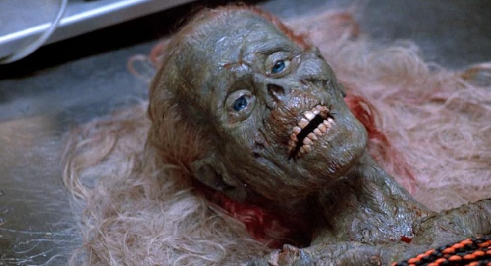 بازگشت مردگان زنده