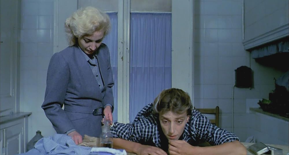 در یک قفسه شیشه ای