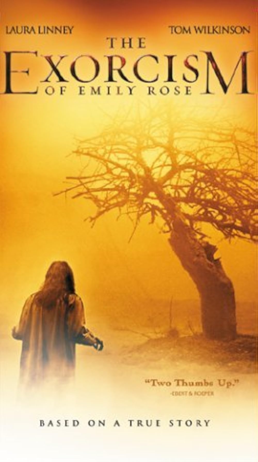 جن‌ گیری امیلی رز