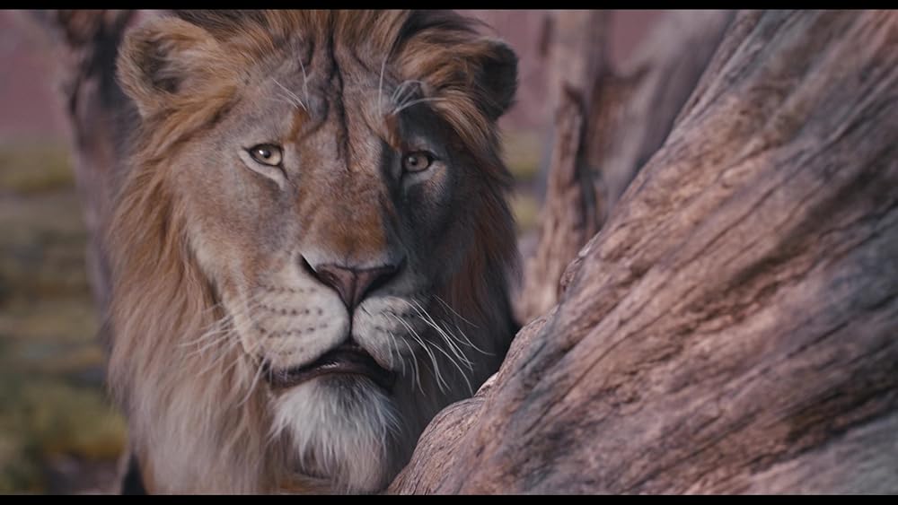 موفاسا: فرمانروای شیرها