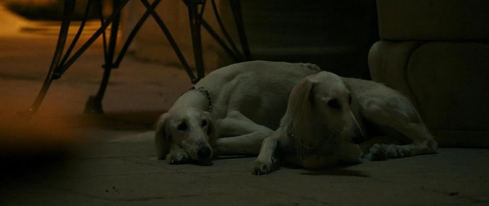 گلادیاتور ۲