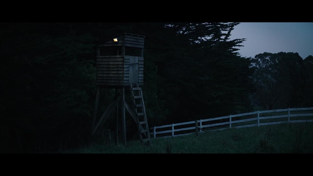 مرد گرگ نما