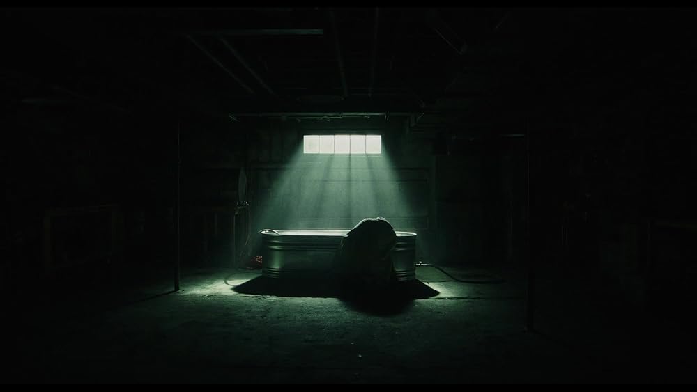 آنچه در وحشی گذشت؛ مروری بر فصل اول