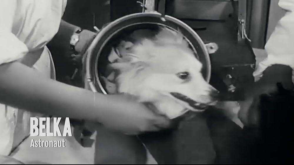 درون ذهن یک سگ