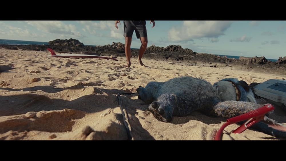 لیلو و استیچ