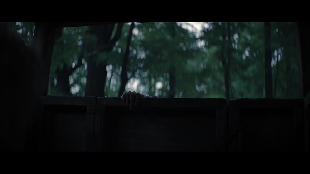 مرد گرگ نما