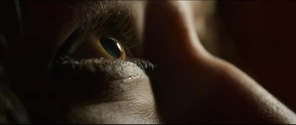 مقصد نهایی: خطوط خونی