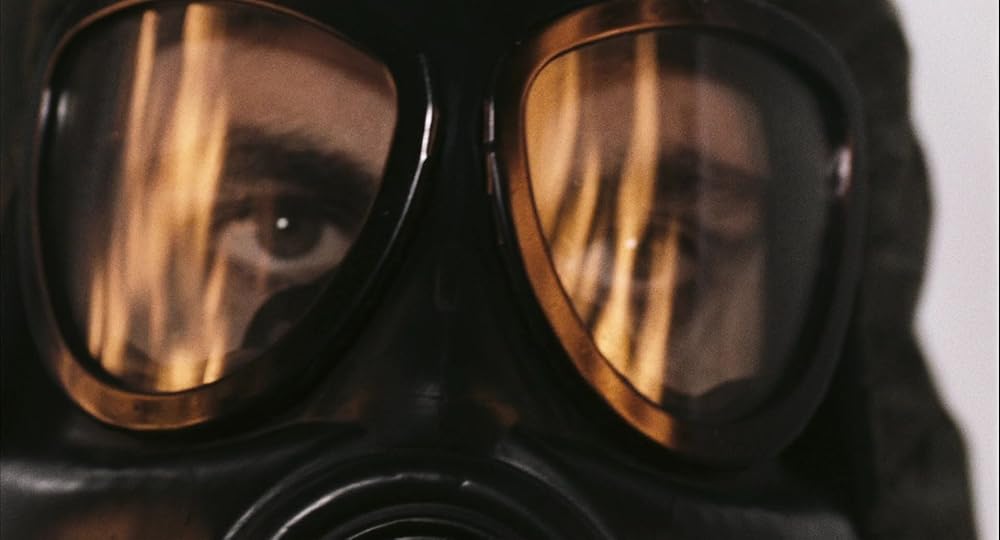 ۲۸ هفته بعد