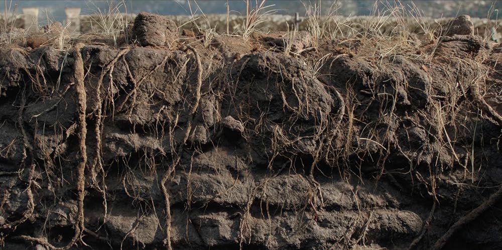 پدرو پارامو