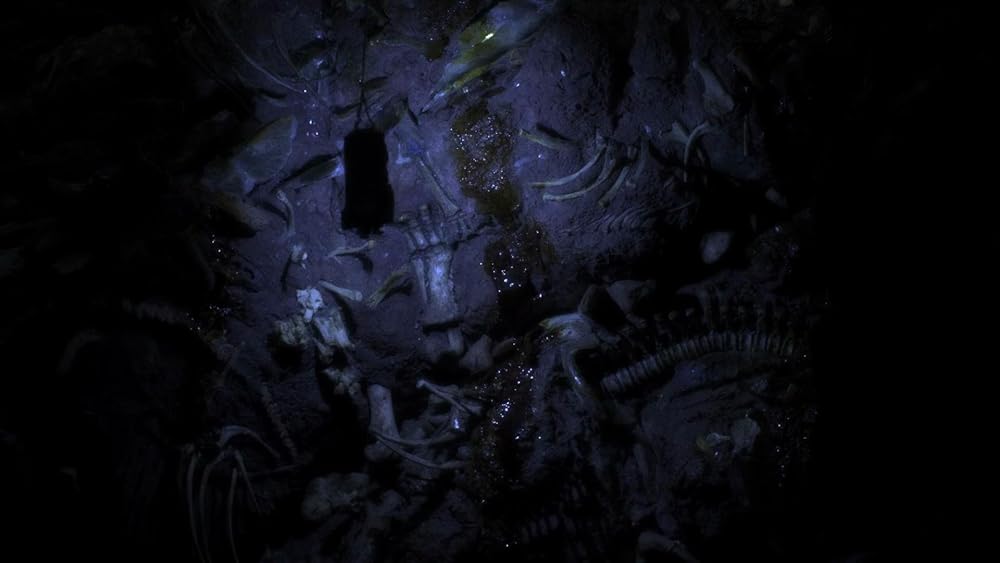 خدای دیوانه