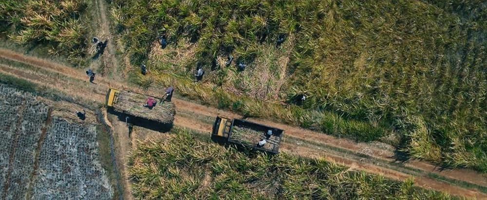 کارخانه شکر