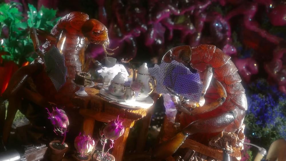 خدای دیوانه