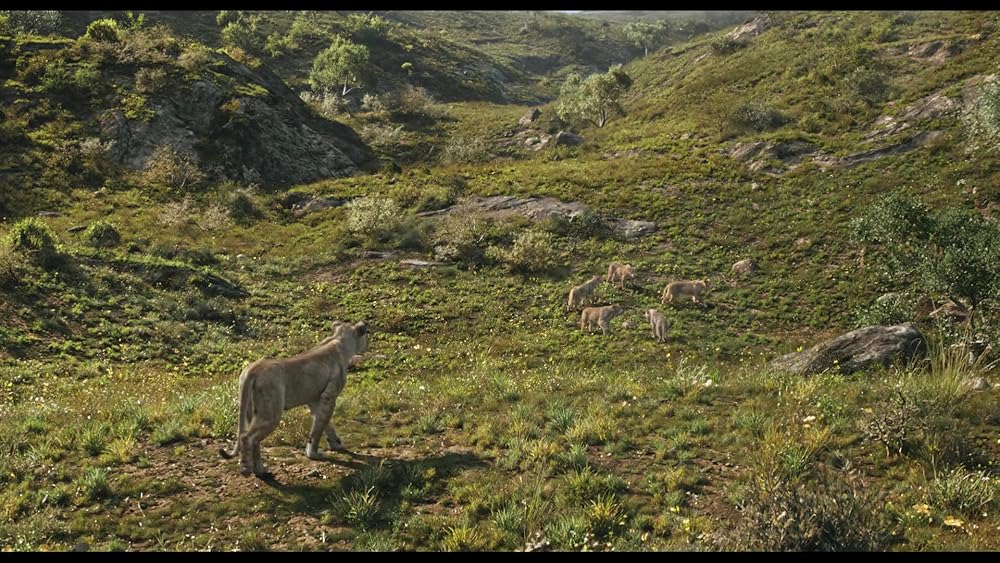 موفاسا: فرمانروای شیرها