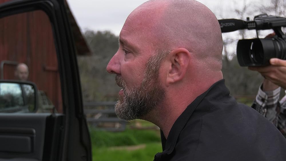 نوارهای احضار