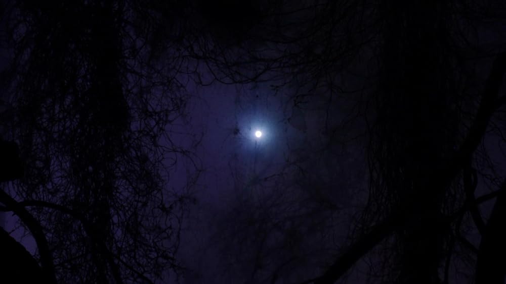 خدای دیوانه