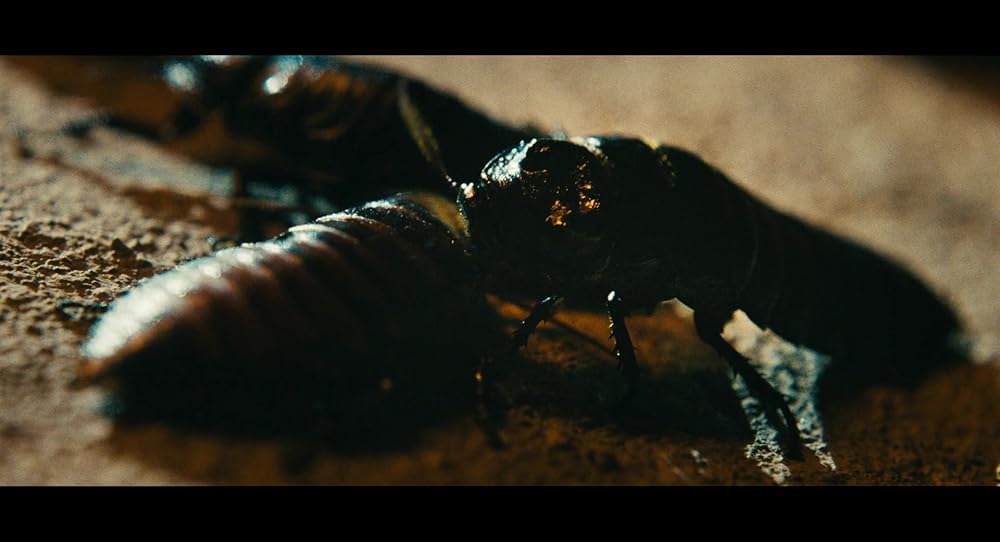 دورا در جستجوی سول دورادو