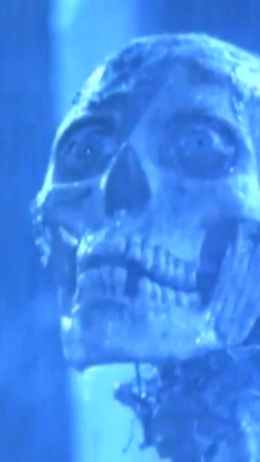 بازگشت مردگان زنده