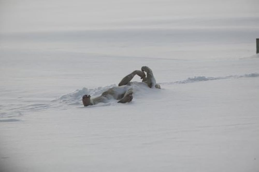 آخرین زمستان