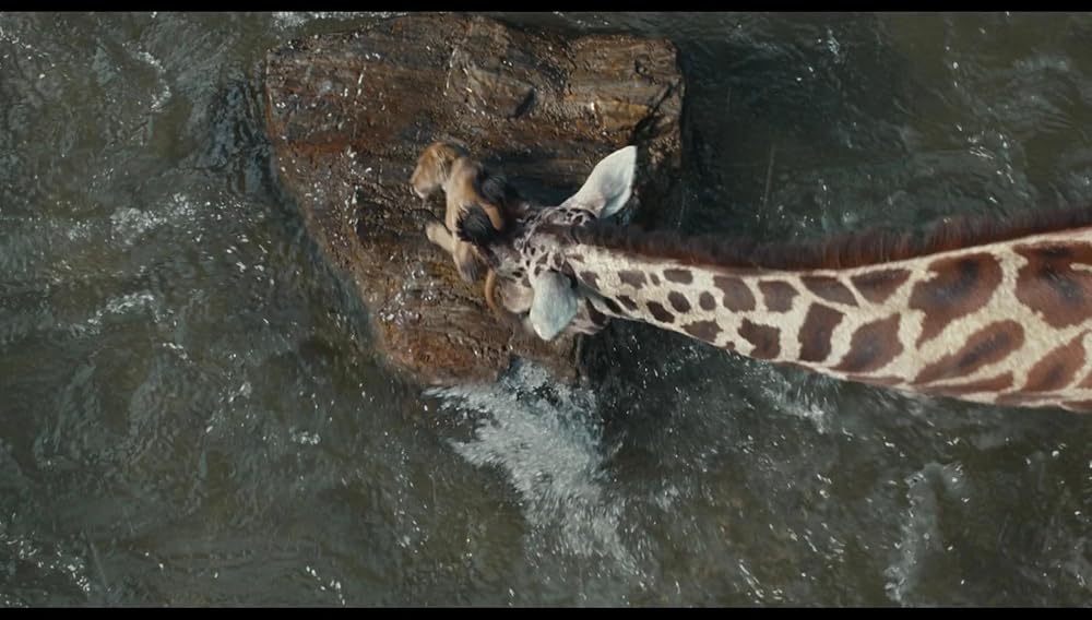 موفاسا: فرمانروای شیرها