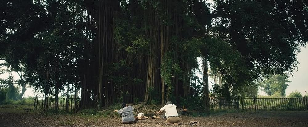 کارخانه شکر