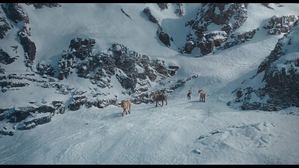 موفاسا: فرمانروای شیرها