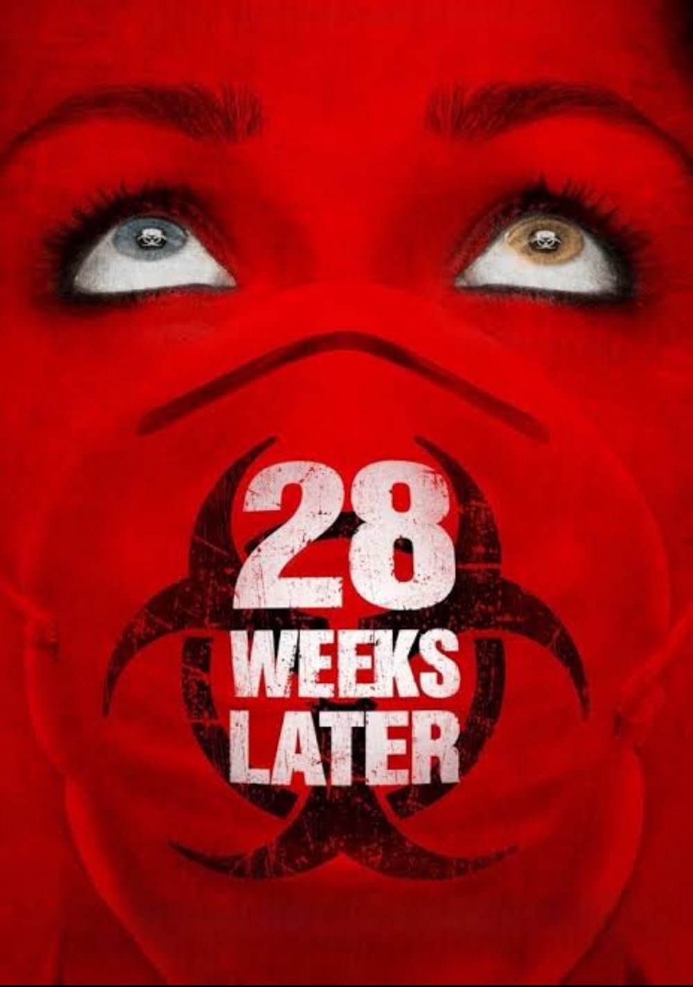 ۲۸ هفته بعد