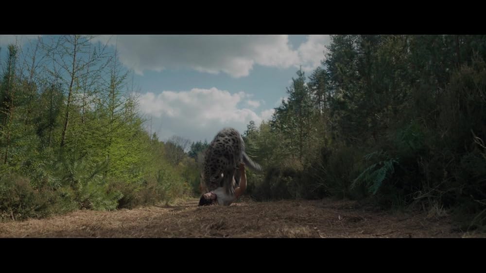 کراون شکارچی