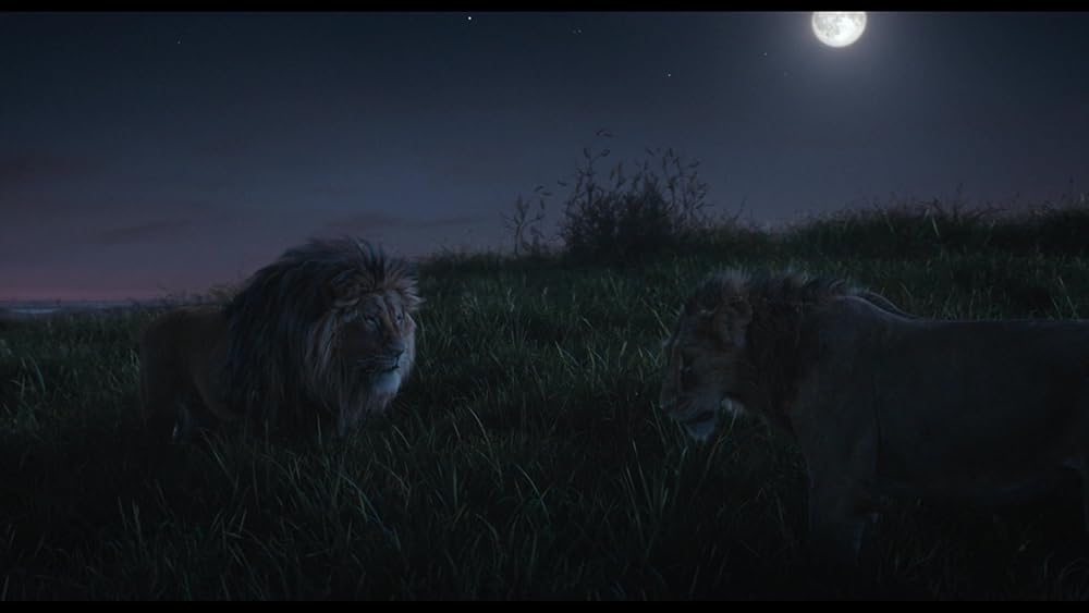 موفاسا: فرمانروای شیرها