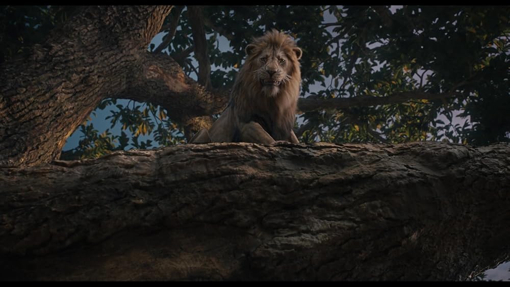 موفاسا: فرمانروای شیرها