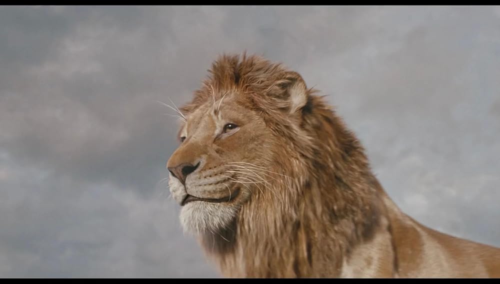 موفاسا: فرمانروای شیرها