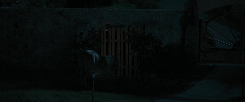 مرگ یک تک‌شاخ