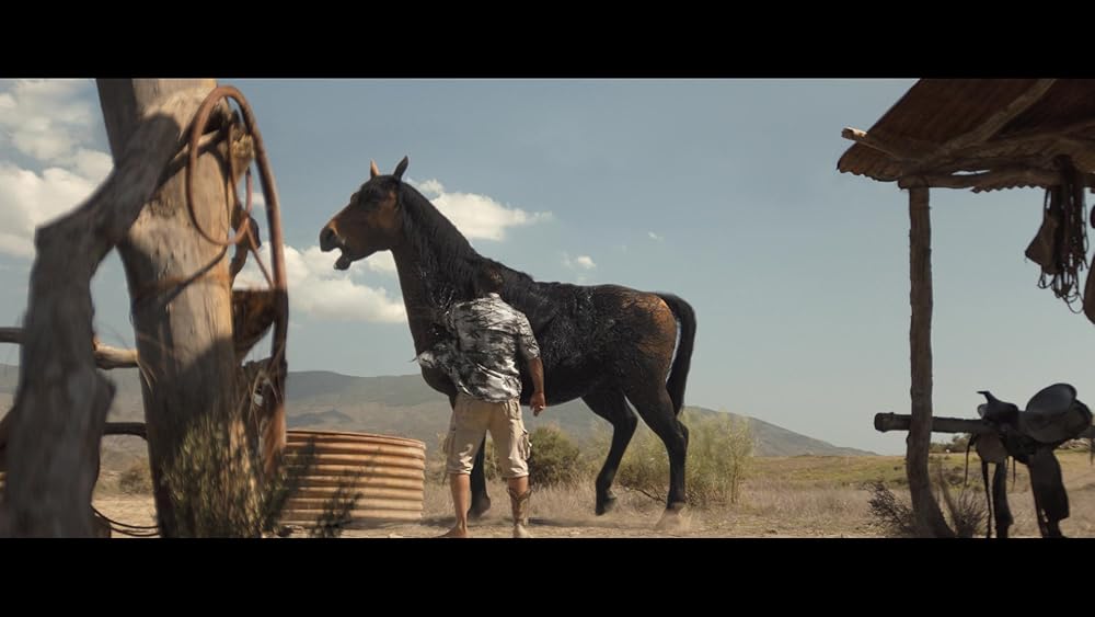 ونوم: آخرین رقص