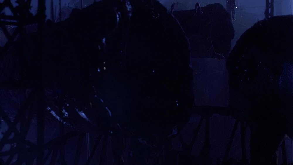 خدای دیوانه