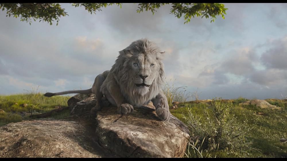 موفاسا: فرمانروای شیرها